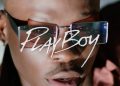 Fireboy DML Playboy Video