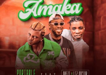 Portable Amaka Orezi Li2 Doctor