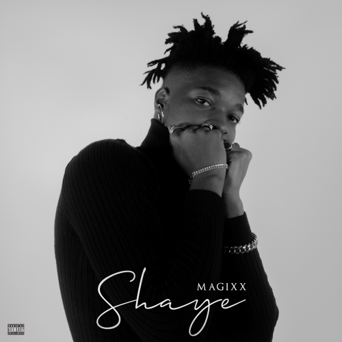 shayee-cover.png