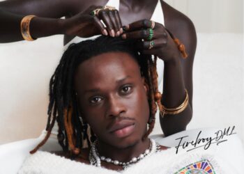 Fireboy DML Playboy Album