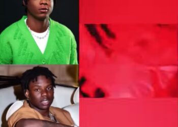 Terri - No Lie Remix ft. Rema 3 Terri No Lie Rema