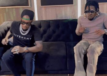 King Perry Tekno, Turkey Nla Remix Lyrics