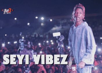 Seyi Vibez Go Low Lyrics