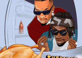 Turkey Nla Remix ft Tekno mp3 image
