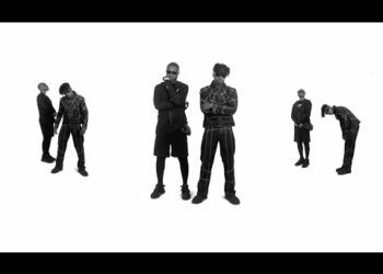 Vector LadiPoe