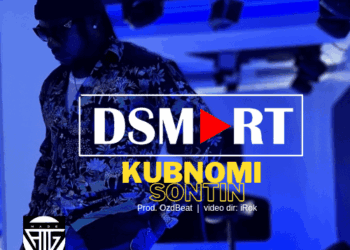Dsmart Kobnomi SOntin Art