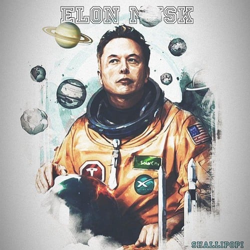 Shallipopi Elon musk