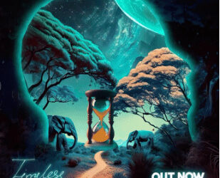 Davido Timeless Album
