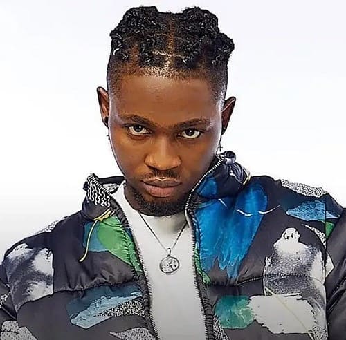 Omah Lay Accuses Fellow Artiste of Stealing His Album Idea