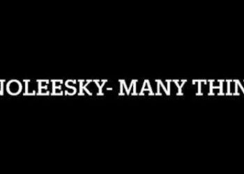 Zinoleesky Many Things Lyrics