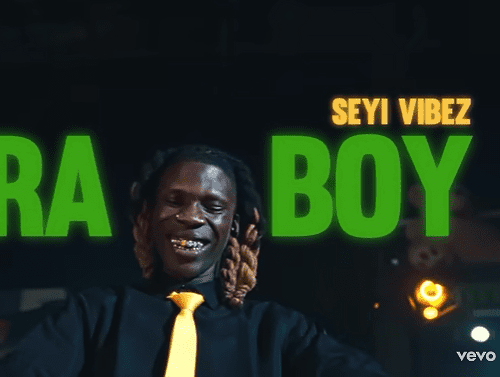 Seyi Vibez Para Boi