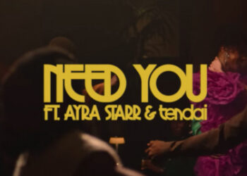Stormzy Ayra Starr Tendai Need You Lyrics