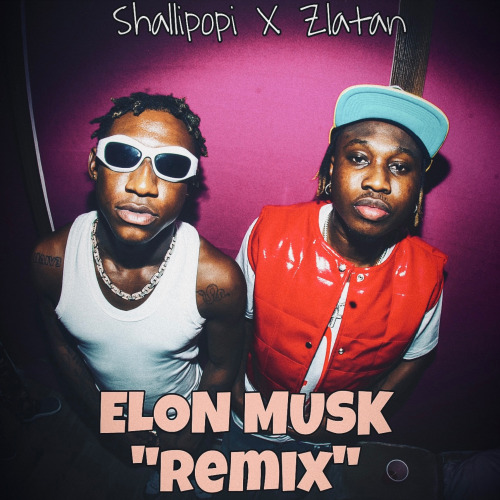 Shallipopi