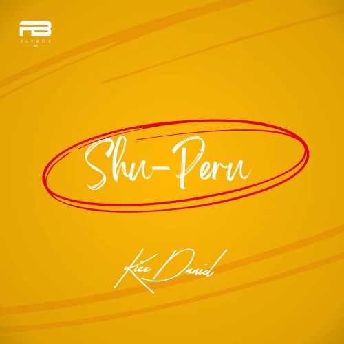 Kizz Daniel Shu-Peru Lyrics