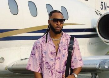 Flavour
