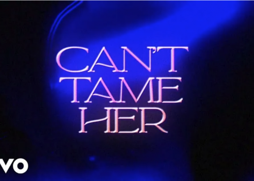 Zara Larsson – Can’t Tame Her (Lyrics)