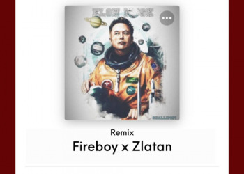 Shallipopi, Fireboy DML Zlatan Elon Musk Remix