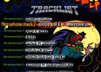 Zoro Mayorkun Good Life