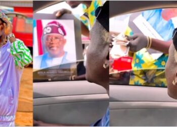 portable buy tinubu portrait