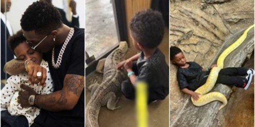 “He’s braver than Davido” – Fans React as Wizkid’s Son Plays with Scary Reptiles