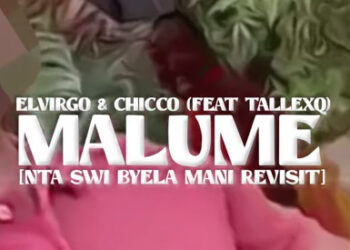 Elvirgo Chicco ft. TallexQ Malume