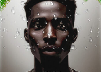 Sam Stiz Plenty Things Cover art