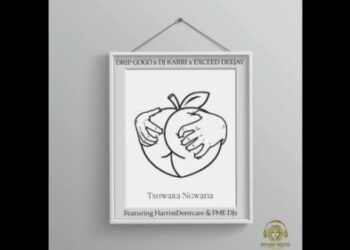 Drip Gogo, DJ Karri & Exceed DeeJay – Tshwara Ngwana ft. HarrisDontcare & FME DJs