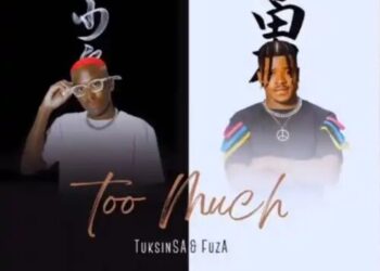 TuksinSA & Fuza – Too Much