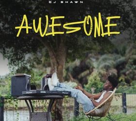 DJ Shawn Awesome EP