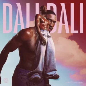 ALBUM: Daliwonga – DALI DALI