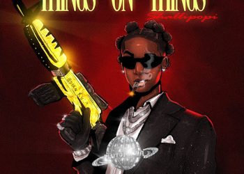 Shallipopi Things On Things