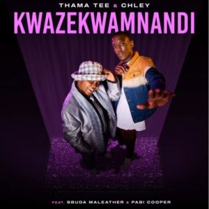 Thama Tee & Chley – Kwazekwamnadi ft. Sbuda Maleather & Pabi Cooper