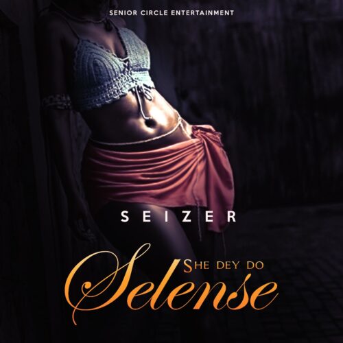 Seizer – “She Dey Do Selense”