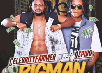 Celebrity Farmer Artwork