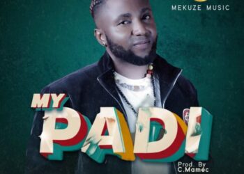 my padi2