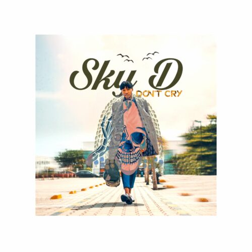 Sky D - Don't Cry (Freestyle) 1 width=500