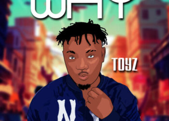 Toyz - WHY 14 TOYZ TOON why