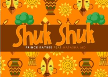Prince Kaybee – Shuk Shuk ft. Natasha MD