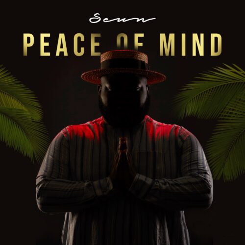 Afro-pop Singer Seun Advocates For Mental Health With Ep - Peace Of Mind 1 width=500