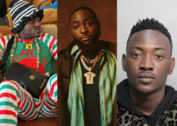 davido portble dammy