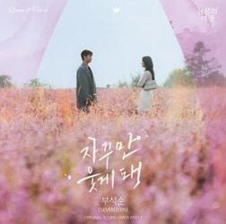 BSS - The Reasons Of My Smiles