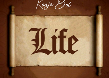 Life mp3 image
