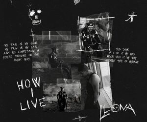 Llona - How I Live