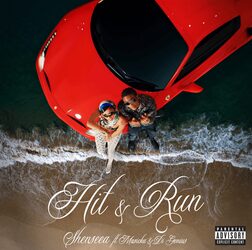 Sheensea, Masicka & Di Genius - Hit & Run