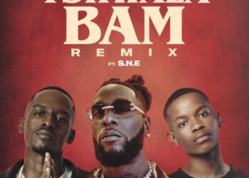 Tshwala Bam feat. S.N.E Remix