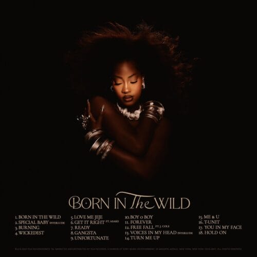 Tems Unveils Tracklist Of Debut Album "Born In The Wild"