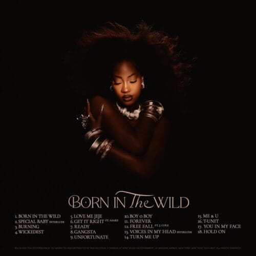 Tems "Born in the Wild" Album Review 2 Tems Born in the Wild Album Tracklist