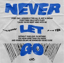 Jung Kook - Never Let Go