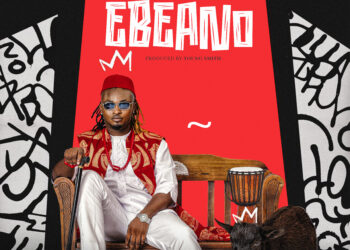 Brillsta Ebeano Cover Blogs