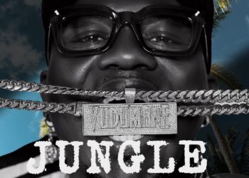 VUDUMANE JUNGLE mp3 image